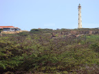 DSC01573.JPG