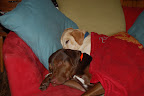 2009 Dec 09 003.JPG
