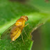 P9037779