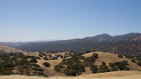 DSC02925.jpg