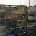 R0027612.JPG