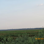 IMG_8185.JPG