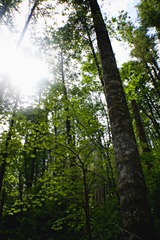 _MG_3113 copy