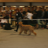 Abi - IMG_4595.JPG
