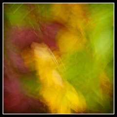 web_IMG_6186