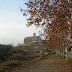 Vista general de La Seu i el Pont Vell