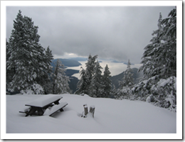 Cold Springs Trail