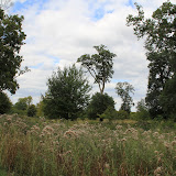 IMG_2802.JPG