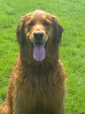 [IMG-20110719-00343%255B5%255D.jpg]