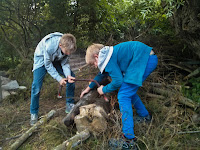 Snakes Lagervorbereitung - Bildergalerie