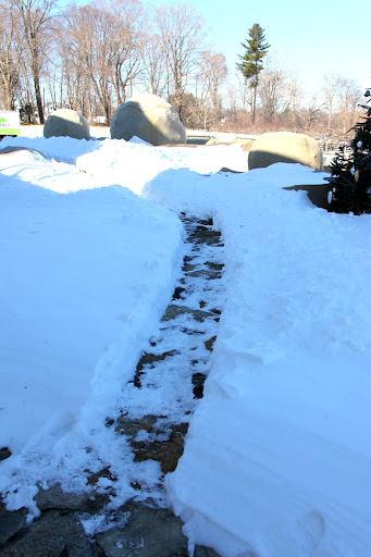 Oh, goodie!  The guys have finally shoveled a path for us.  Now we can go out and explore the farm all covered in snow.