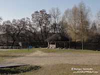 dsc07367.jpg