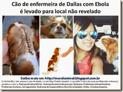 Cão de enfermeira de Dallas com Ebola2