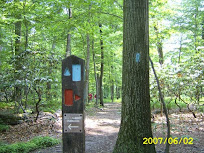 sa500167.jpg
