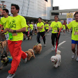 Pet Express Doggie Run 2012 Philippines. Jpg (29).JPG