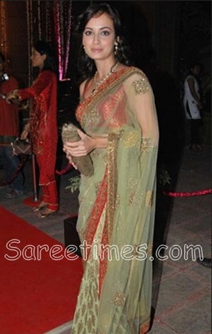 [Dia_Mirza_Shimmer_Saree%255B3%255D.jpg]