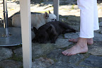 An Itch to Scratch
