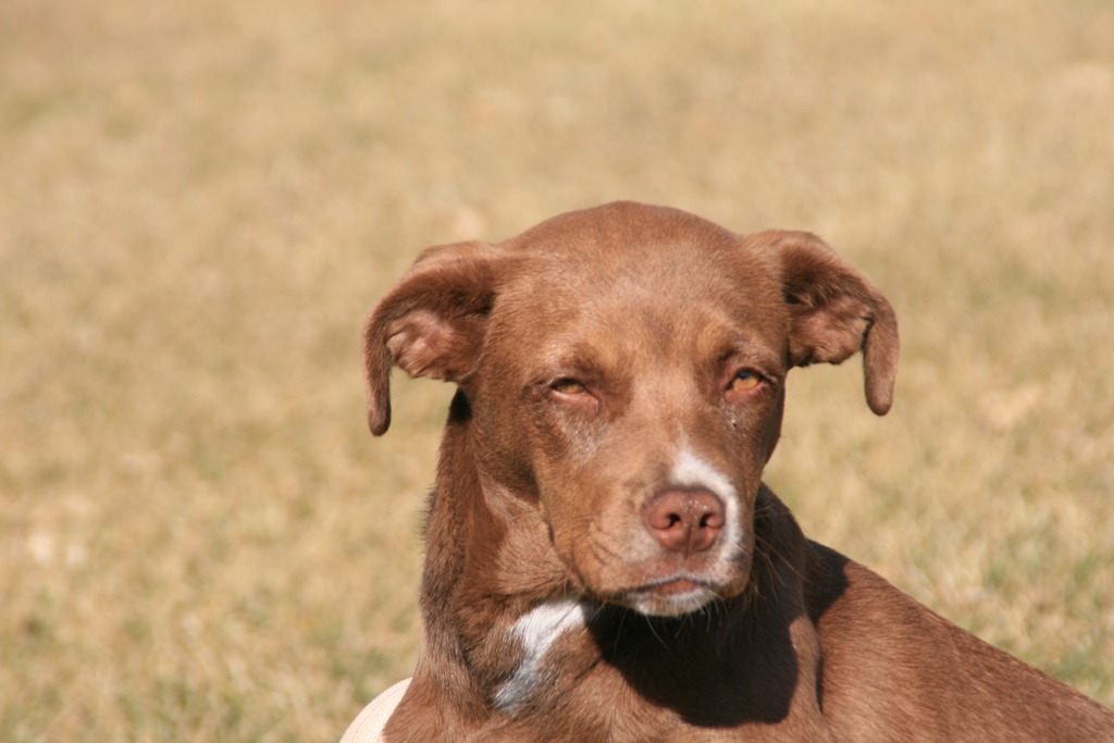 [IMG_0481%255B5%255D.jpg]