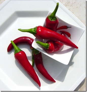 Chillies for Jam Chillies for Jam