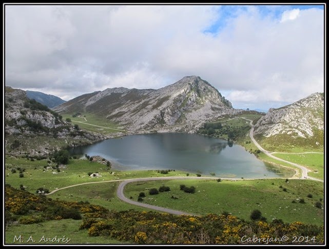 Picos 600 Picos 600