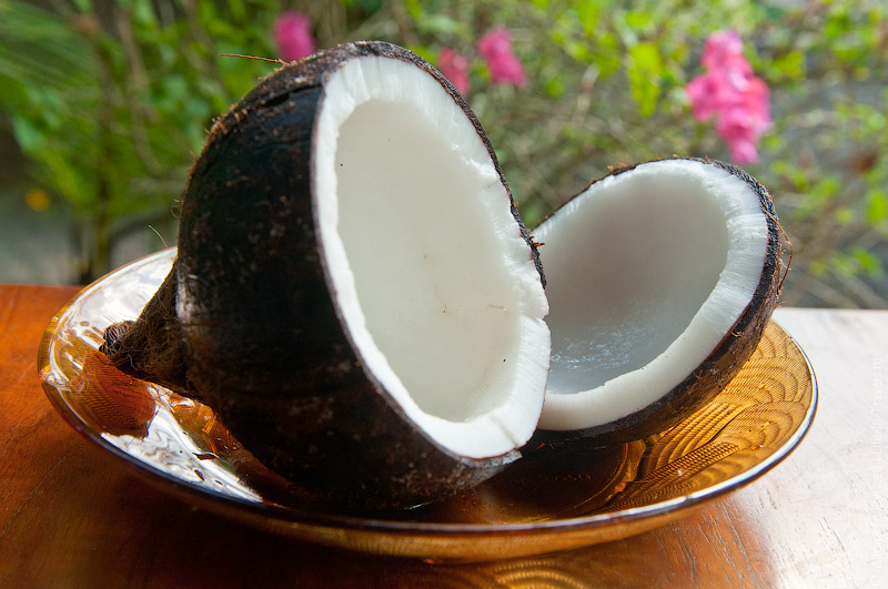 Кокос (Cocos, coconut)
