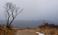 Bieszczady-Kremenec--19.jpg Photo Bieszczady-Kremenec--19.jpg Photo