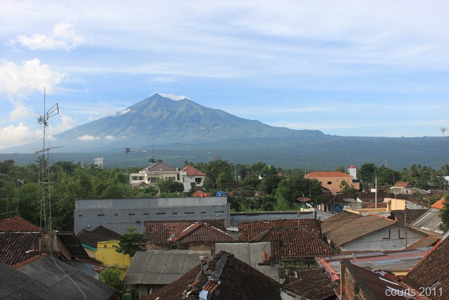 [IMG_06604.jpg]
