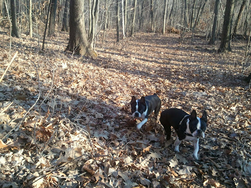 2012-02-23 16.10.43.jpg