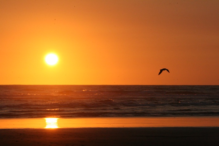 [IMG_8815%255B4%255D.jpg]