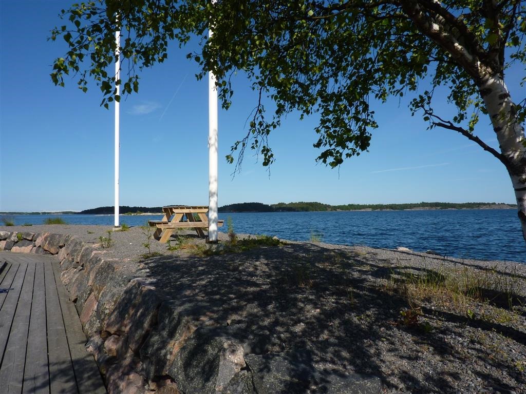 [P1030382-Medium3.jpg]