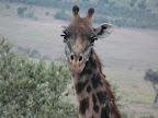 Akagera Nationalpark