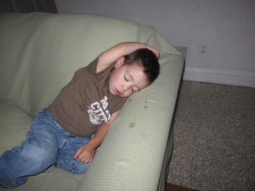 Picture 228