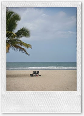 IMG_7124 IMG_7124