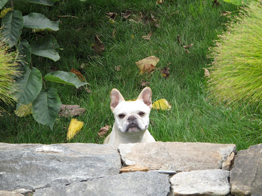 Wait!  He's turning around - maybe he plans on attacking me!!  En guard!