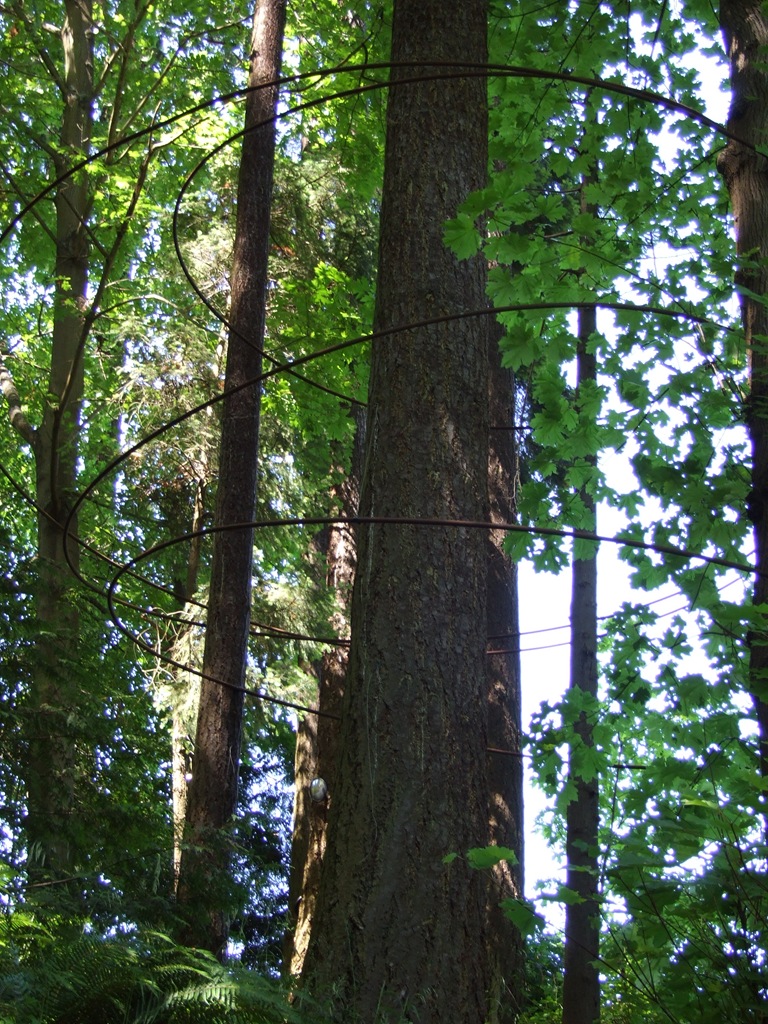 [DSCF74135.jpg]
