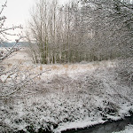 image5.jpg