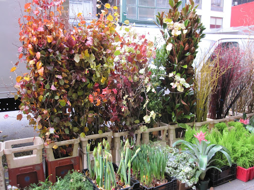 My final stop was for the maple branches -- 28th Street Wholesale shop is located right next to A Rose By Harvest. Pictured here are not maple branches but you can see pear branches and magnolia branches.
