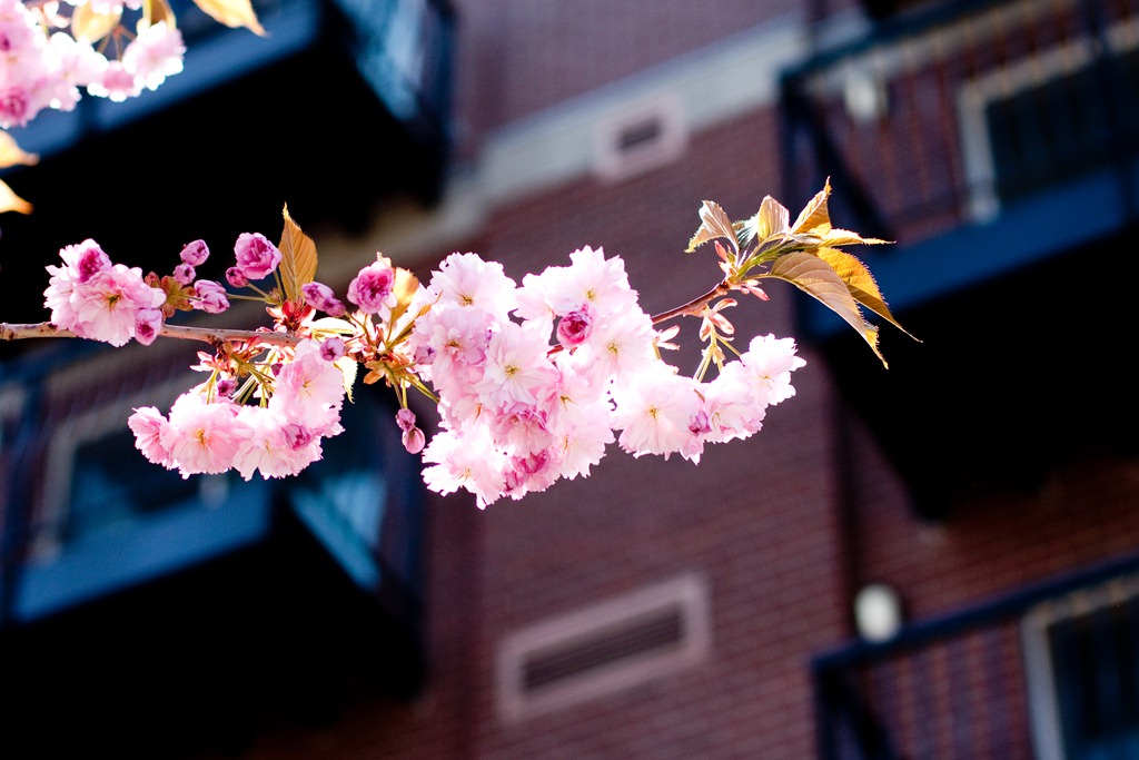 [20110501-IMG_84899.jpg]