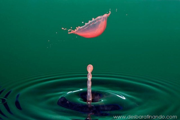 liquid-drop-art-gotas-caindo-foto-velocidade-hora-certa-desbaratinando (59) liquid-drop-art-gotas-caindo-foto-velocidade-hora-certa-desbaratinando (59)