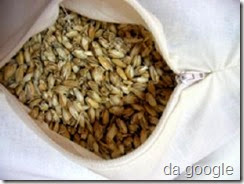 farro-con-la-pula-nel-cuscino-si-curano-emicranie-cervicale-colonna-vertebrale-e-distubi-del-sonno - Copia farro-con-la-pula-nel-cuscino-si-curano-emicranie-cervicale-colonna-vertebrale-e-distubi-del-sonno - Copia