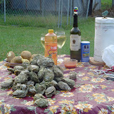 Oysters!