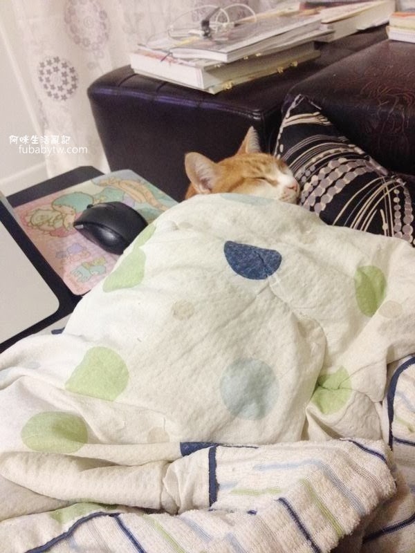調整大小IMG_4576 調整大小IMG_4576