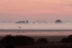 Sonnenaufgang im Teufelsmoor (Postwiesen)