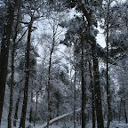 3-1-2010-029.jpg