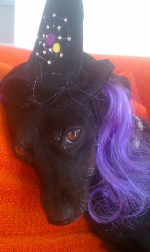 A very sultry purple haired Daisy! A very sultry purple haired Daisy!