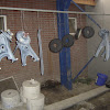 DSC05713.JPG