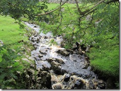 IMG_0090