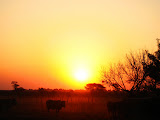 South Africa - 002.JPG