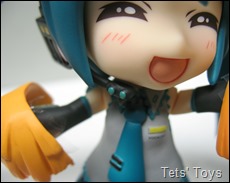 Support Nendoroid Miku