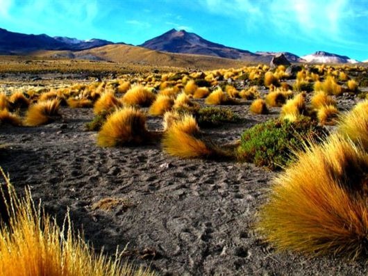 [desert_41%255B5%255D.jpg]
